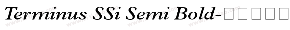 Terminus SSi Semi Bold字体转换